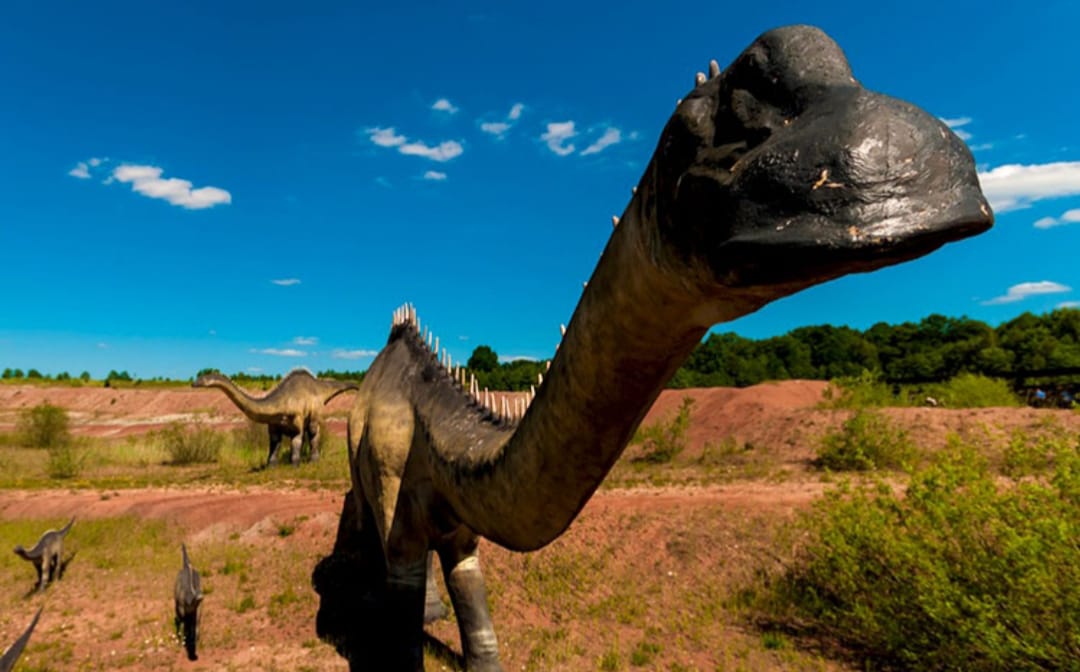 Inilah Hewan-hewan Keturunan Dinosaurus Yang Masih Hidup Hingga Kini